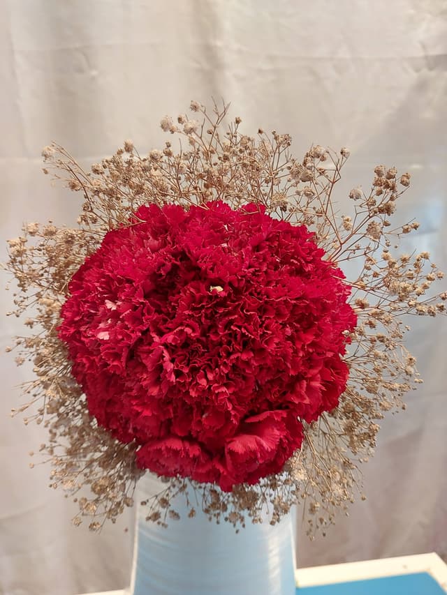 Red rose, dried Gixo. Bouqet